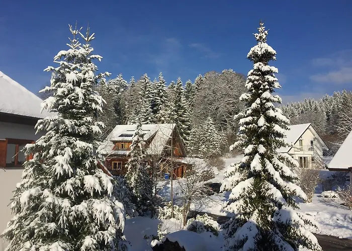 Blackforest Life Appartement *